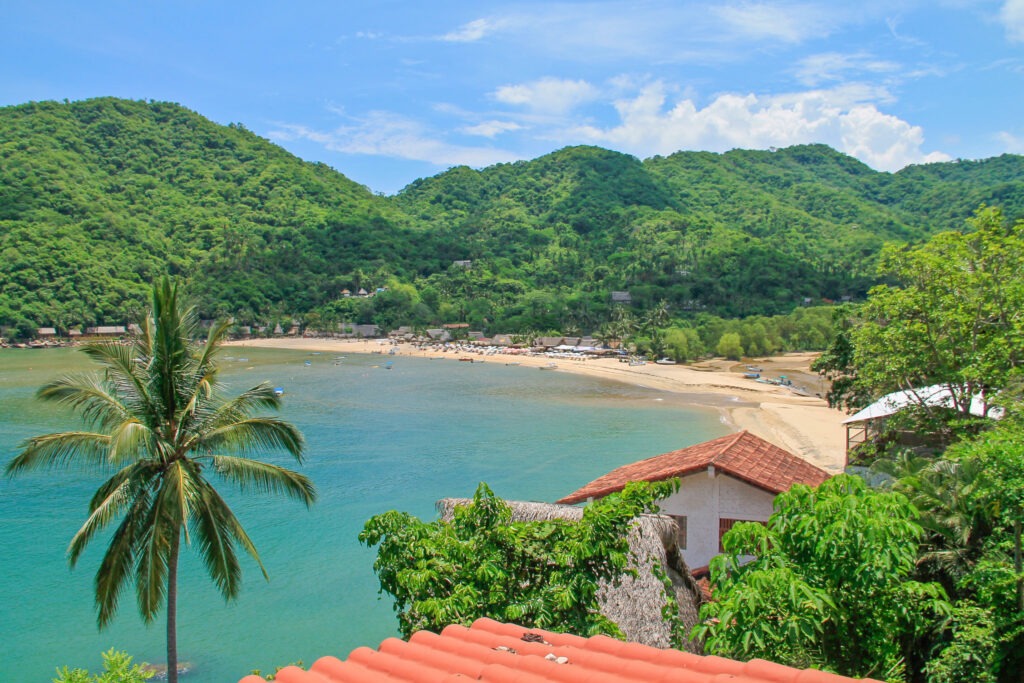 YELAPA4