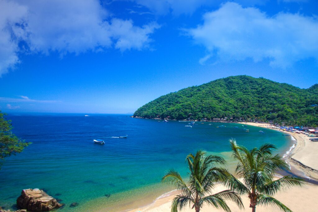 YELAPA6