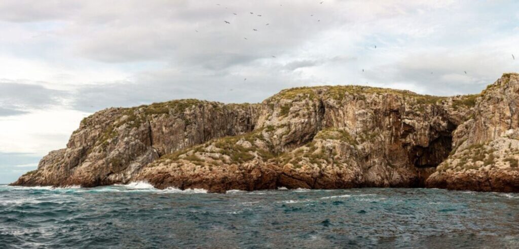 marietas-eco-discovery-10-1024×491